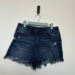 Rewash Denim high waisted cutoff shorts, size 11